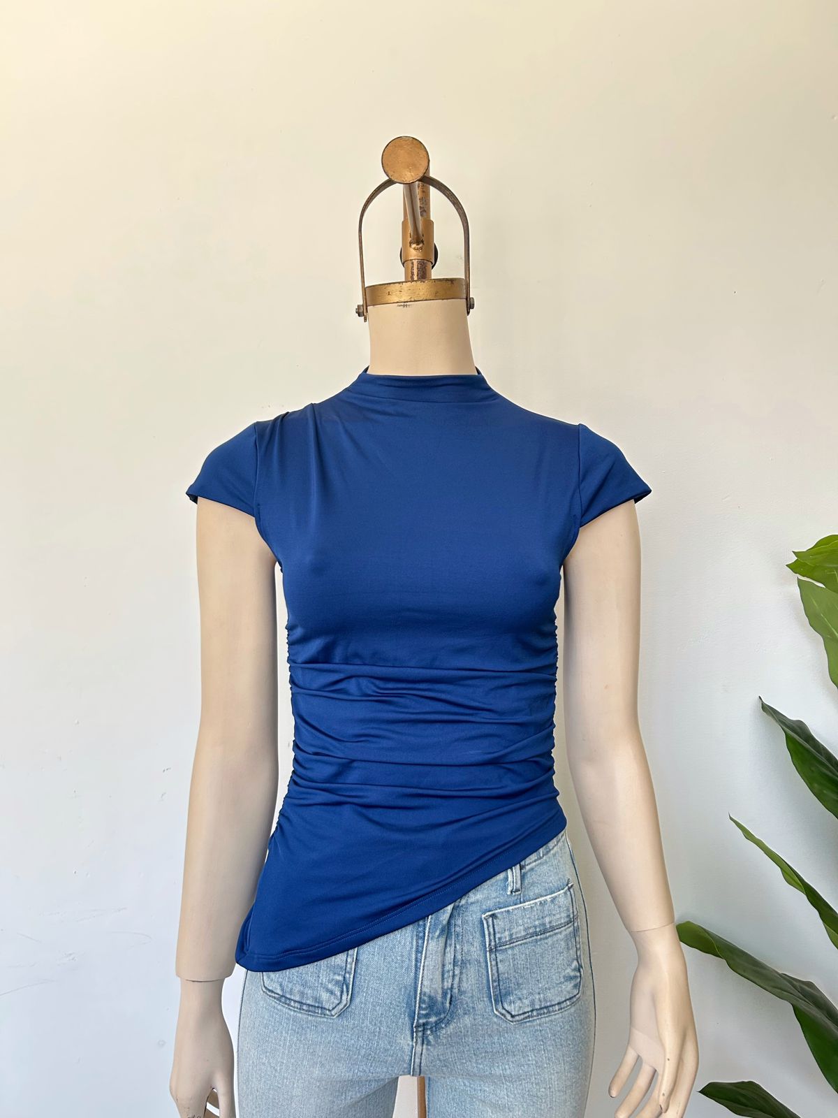 Polo Celeste