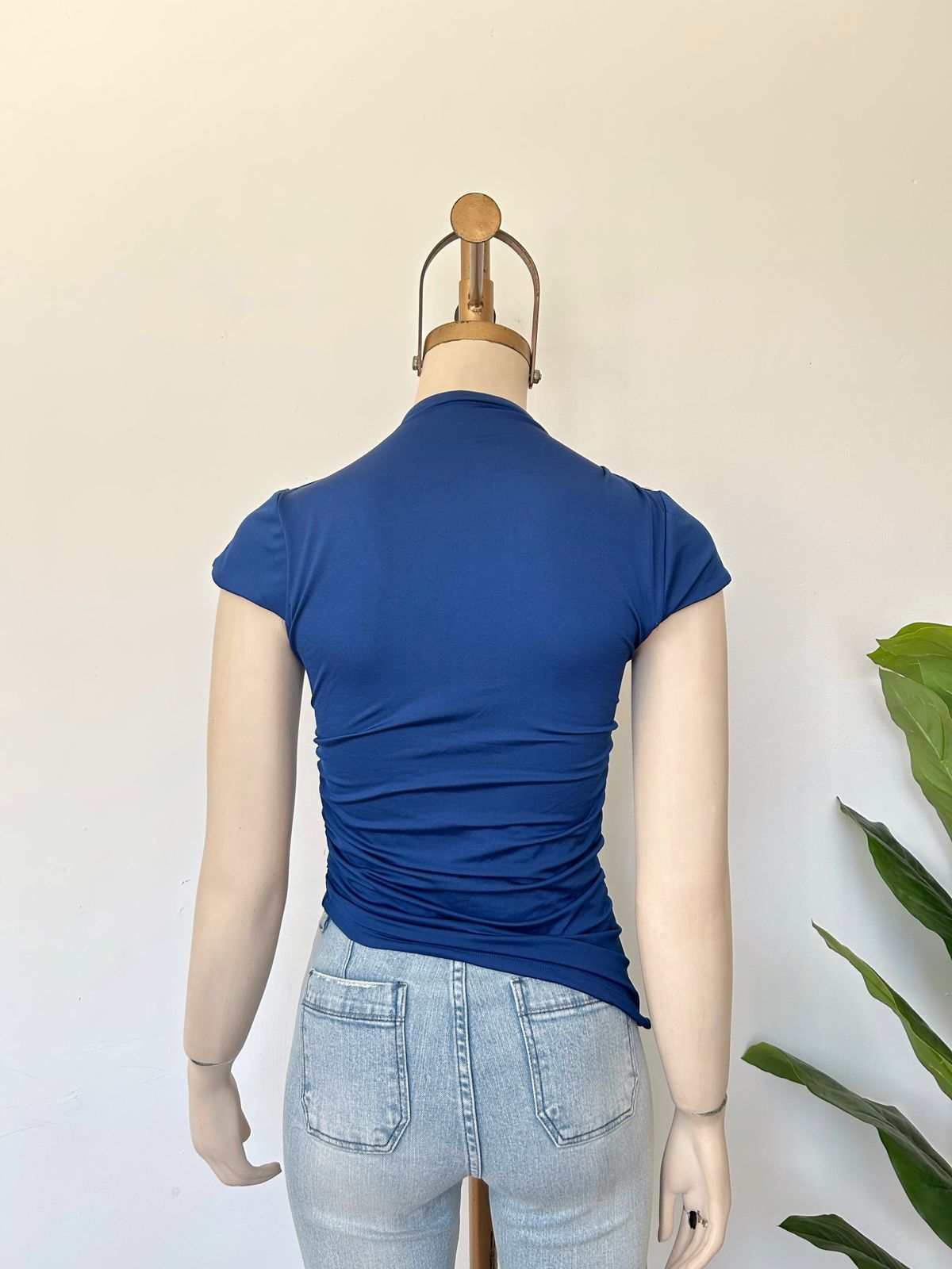 Polo Celeste