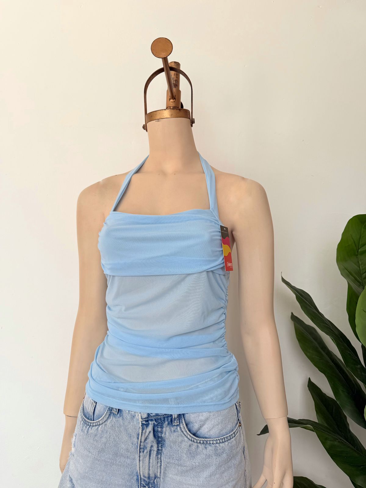 Top mesh